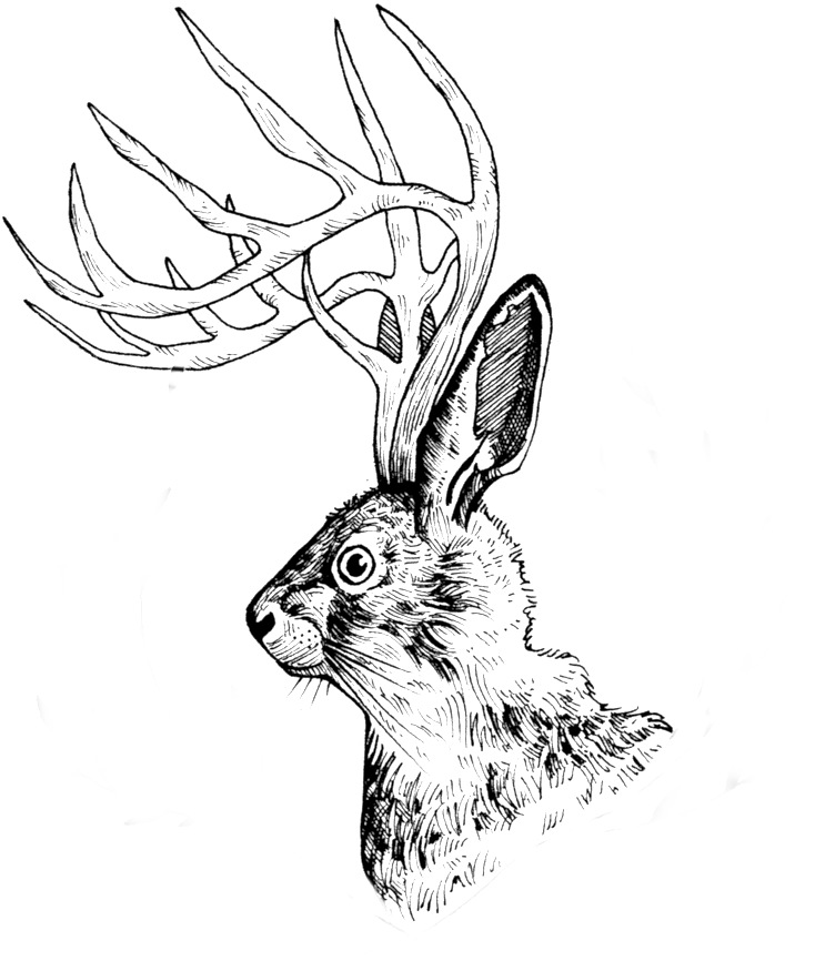 Jackalopeplain - Sketch Clipart (1000x1000), Png Download