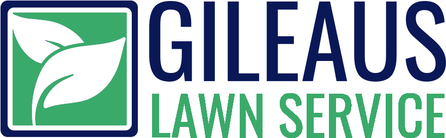 Lawn Care & Maintenance, Mowing & Weed Control, Mulching, - Southern Wide Real Estate Clipart (900x359), Png Download