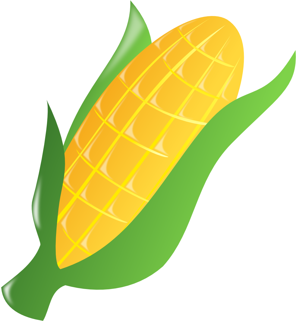Corn Black White Line Art 999px 322 - Corn Clipart Transparent Background - Png Download (999x1082), Png Download