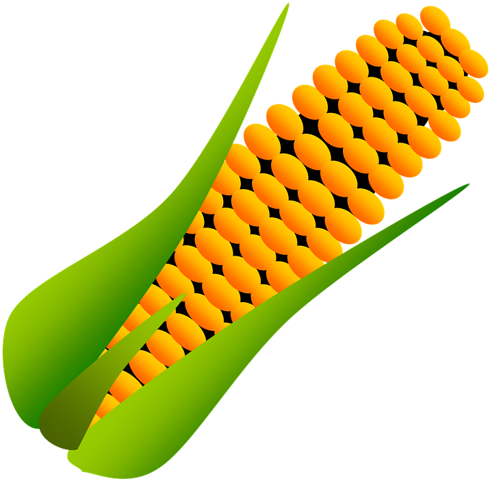 Corn Popcorn Cartoon - Corn Dessin Clipart (732x720), Png Download