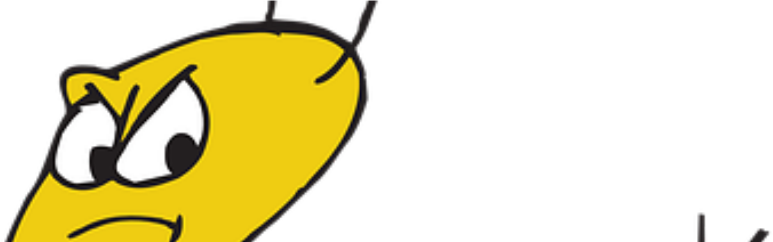 I'm Angry As F*ck At Mpp - Cartoon Bees Clipart (1600x480), Png Download