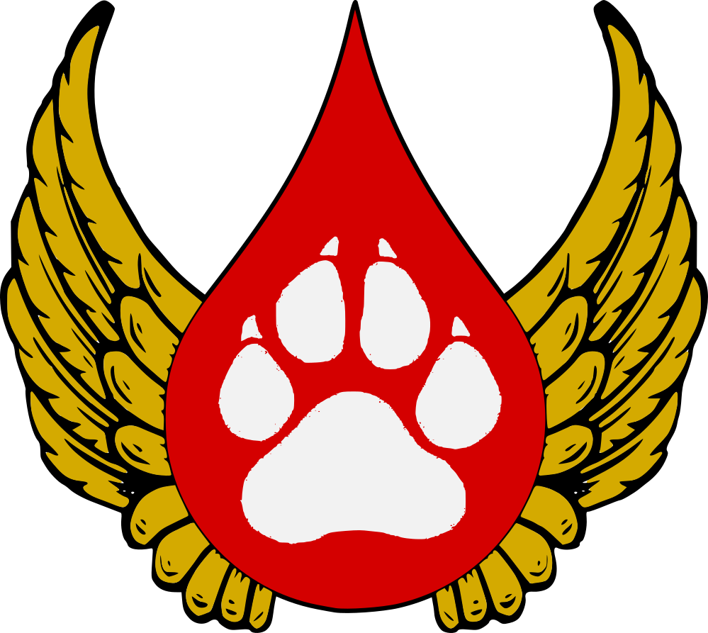 Heraldry - Angel Wings Clipart Transparent - Png Download (999x893), Png Download