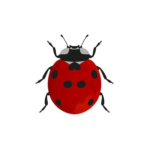 1 On Behance Art Thou, Beetle, My Friend, Insects - Ladybug Clipart (1200x600), Png Download