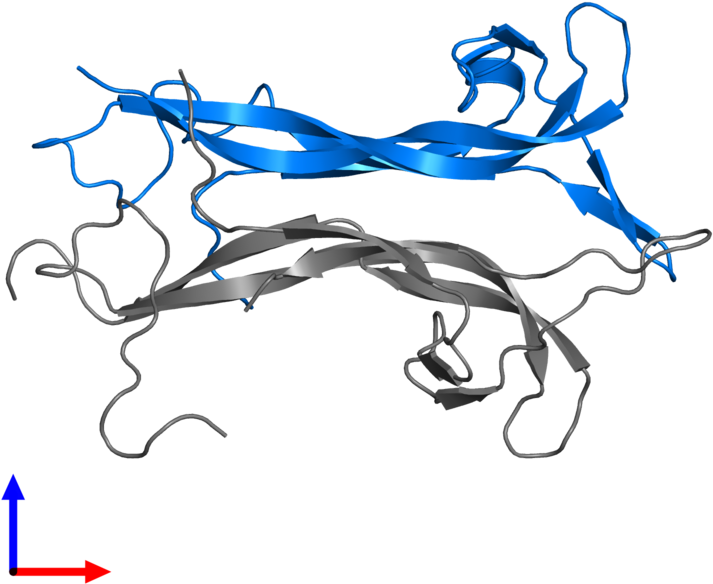 <div Class='caption-body'>pdb Entry 1b8m Contains 1 - Illustration Clipart (800x800), Png Download