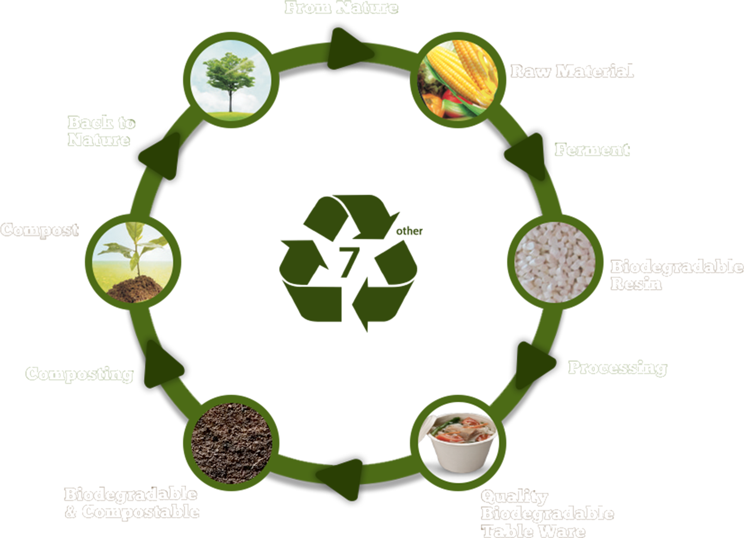 From Nature Back To Nature Clipart (2550x1924), Png Download