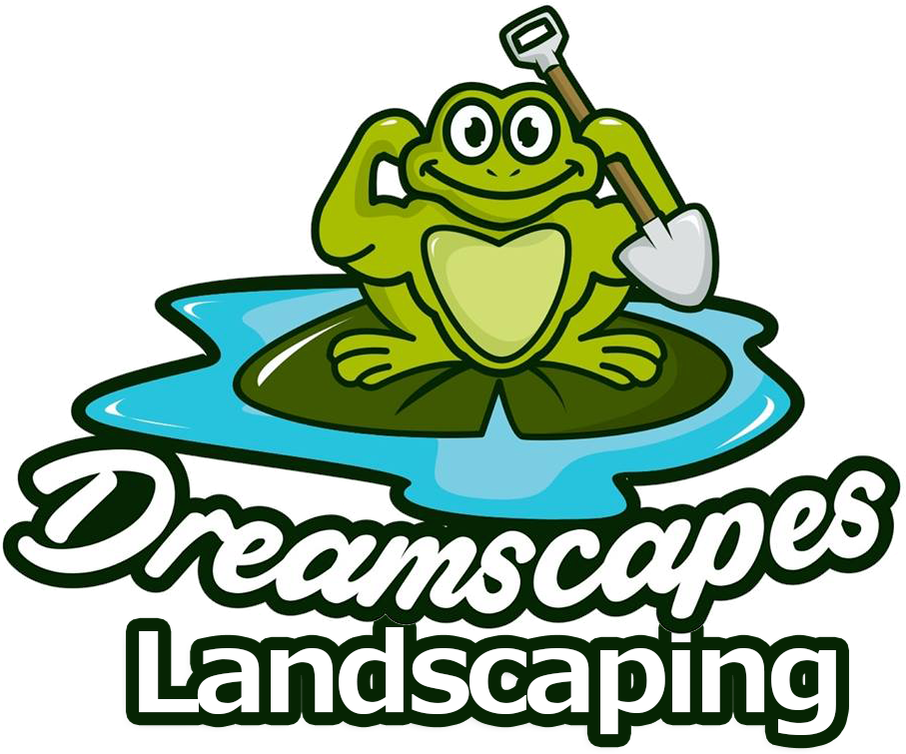 Picture - Bufo Clipart (959x758), Png Download