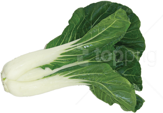 Free Png بوك صورة تشوي Png Images Transparent - Bok Choy Png Clipart (850x396), Png Download