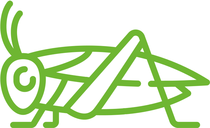 New Protein Sources - Cricket Bug Icon Clipart (700x700), Png Download