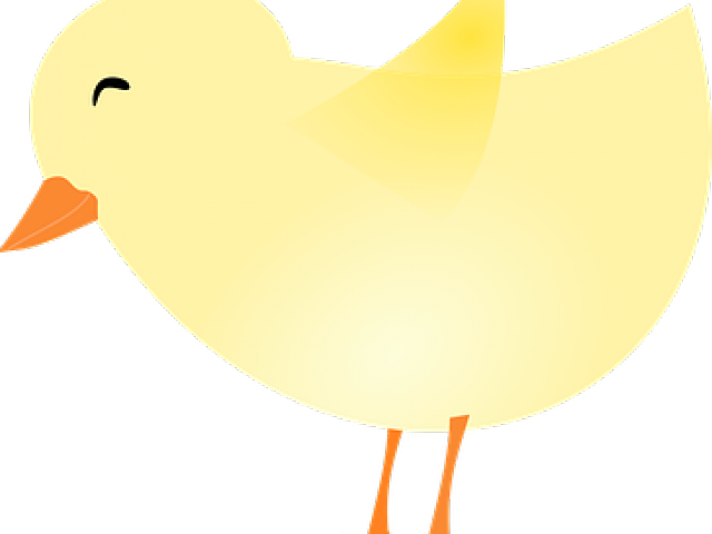 Baby Chicks Drawing With Transparent Background Clipart (640x480), Png Download