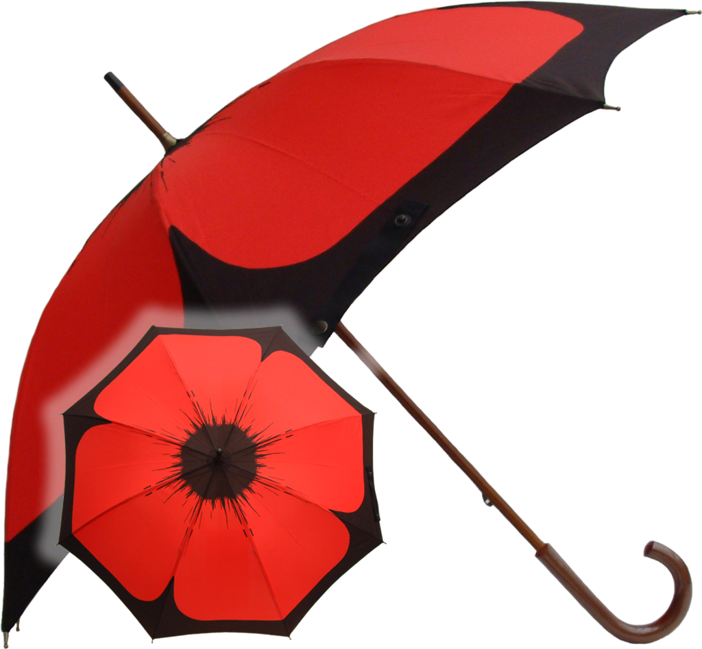 1024 X 947 2 - Poppy Umbrellas Clipart (1024x947), Png Download