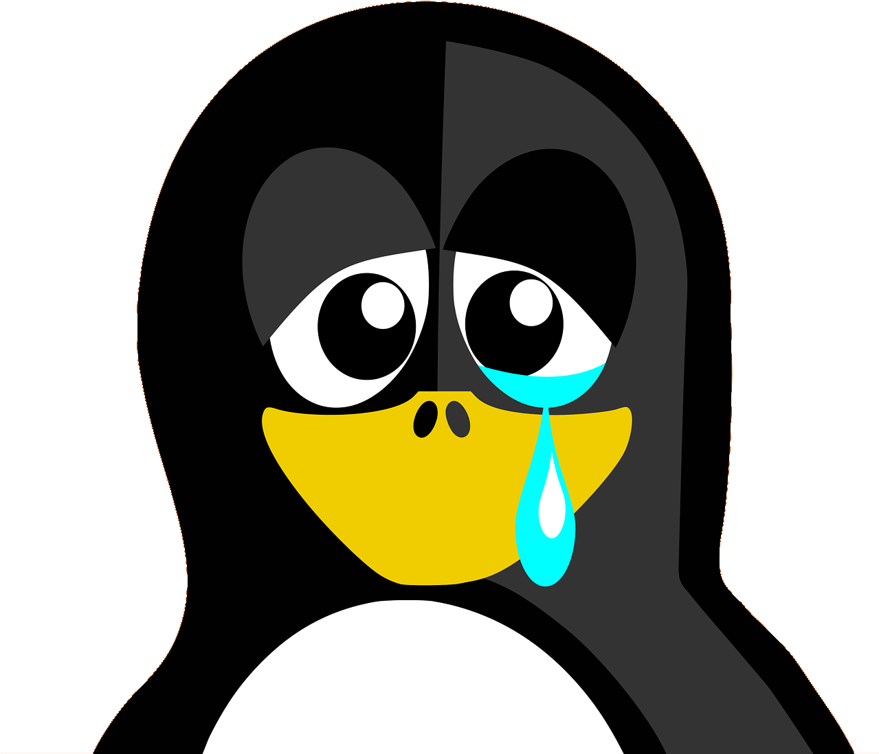 To Win An Argument, You Need To Be Prepared And Have - Sad Linux Penguin Clipart (1278x1280), Png Download