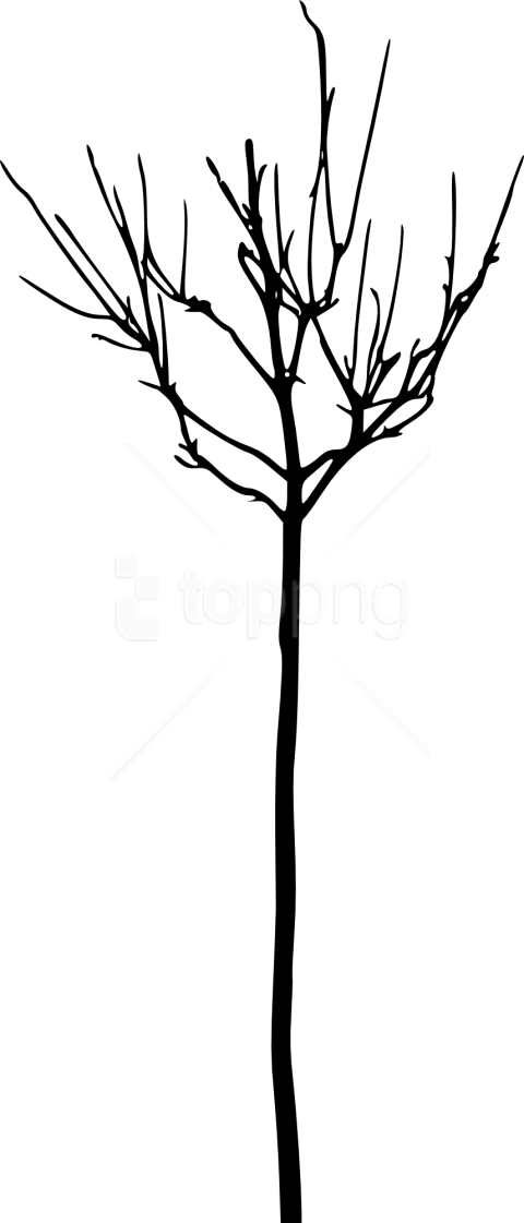 Free Png Simple Bare Tree Silhouette Png Images Transparent - Illustration Clipart (480x1121), Png Download