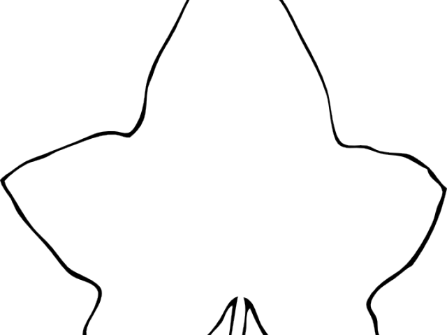 Drawn Leaves Clip Art Outline - Leaf Clip Art - Png Download (640x480), Png Download