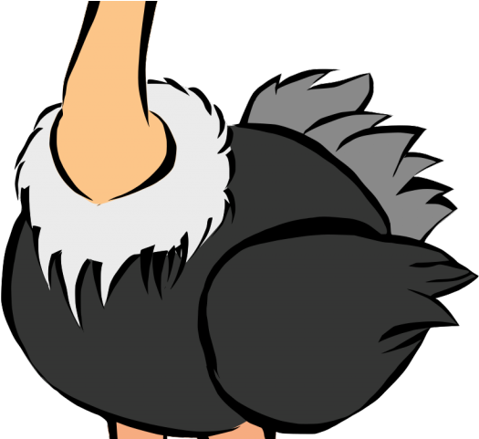 Ostrich Clipart Realistic - Ostrich Clipart - Png Download (640x480), Png Download