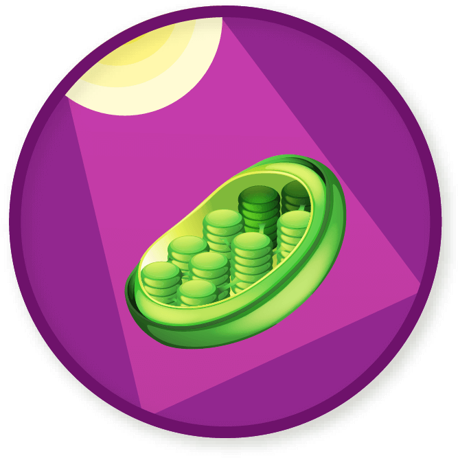 Win A Badge - Circle Clipart (689x689), Png Download