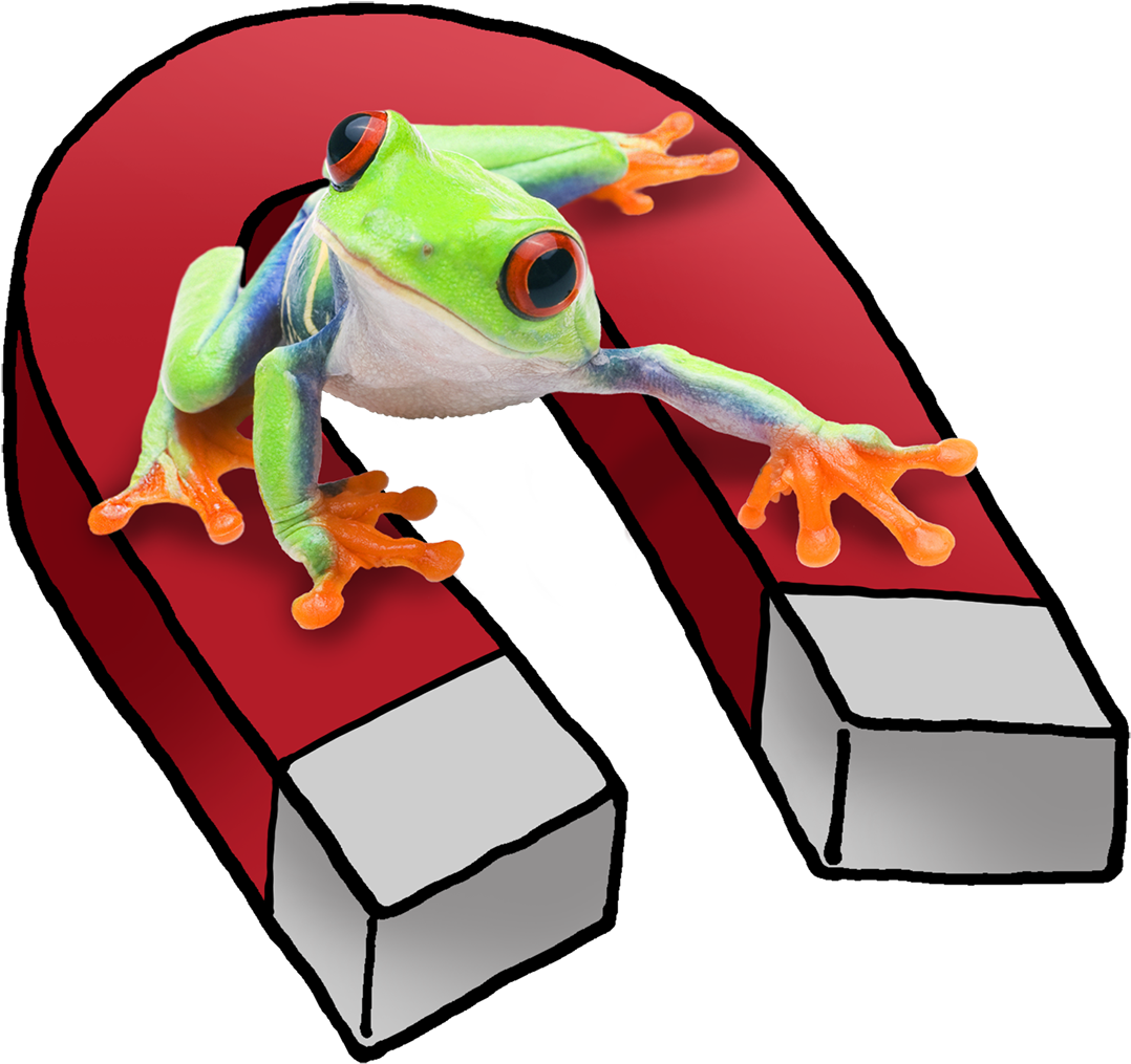 Meet A Clingy Red-eyed Tree Frog With A Magnetic Personality - Cartoon Clipart (1200x1073), Png Download