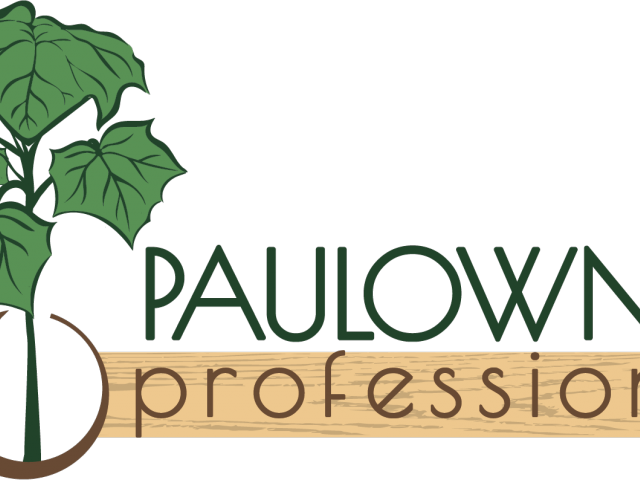 Dirt Clipart Fertile - Png Download (640x480), Png Download