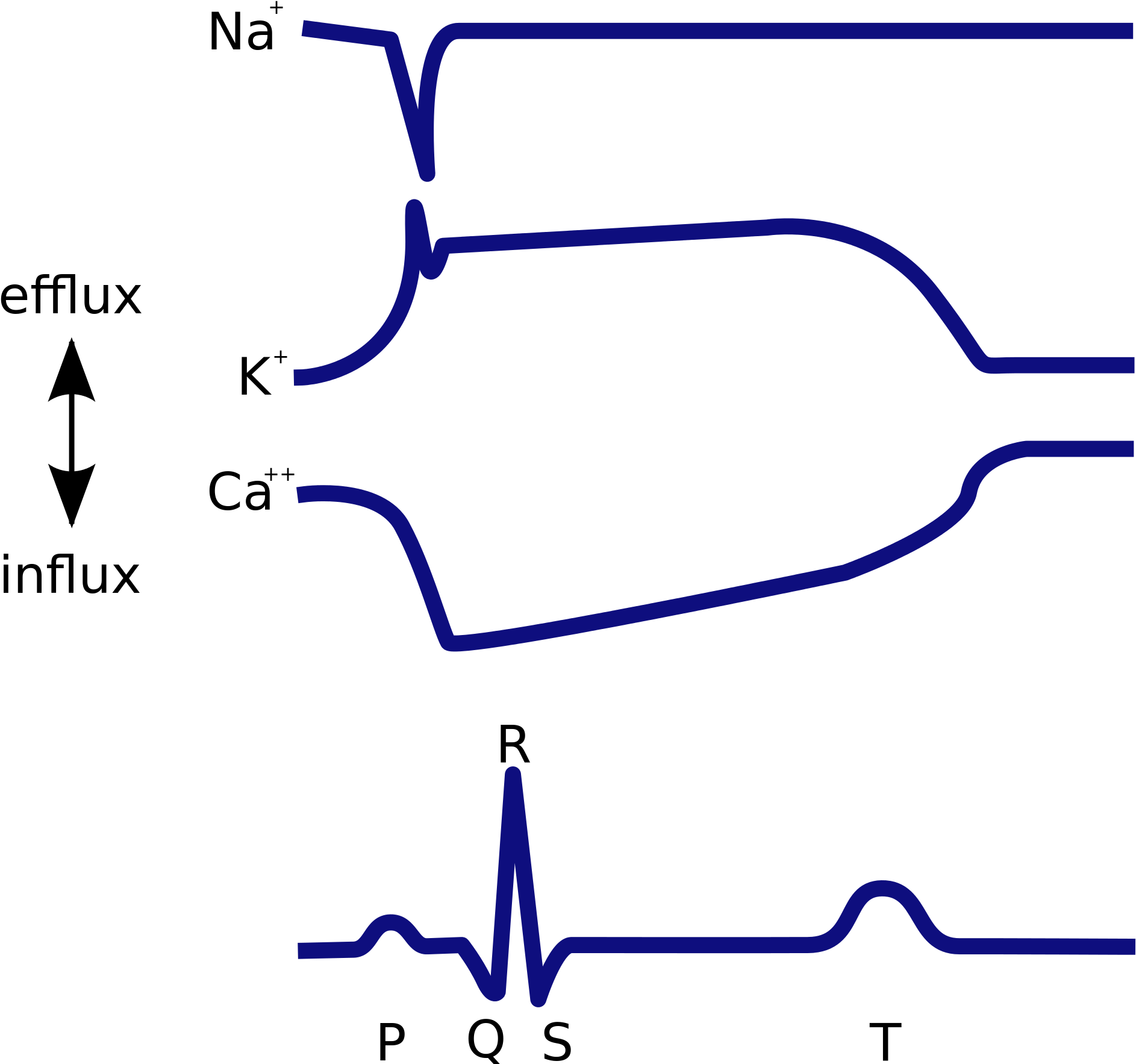 Ekg Svg Transparent - Ions And Ecg Clipart (2000x1786), Png Download