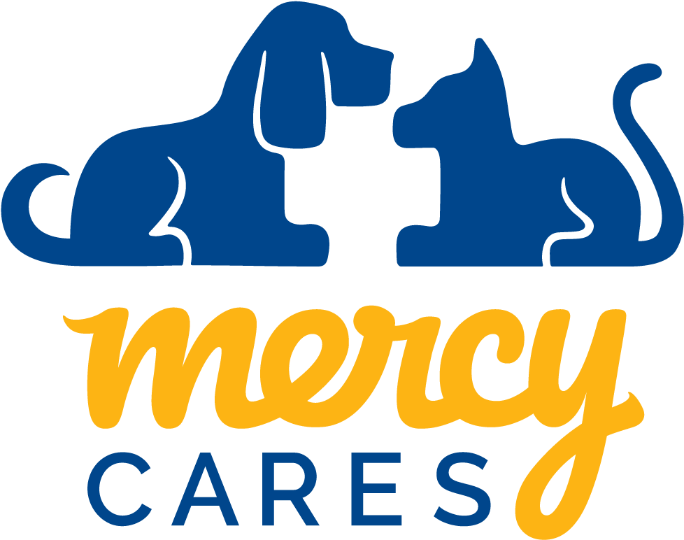 Mercy Cares Clipart (1000x813), Png Download