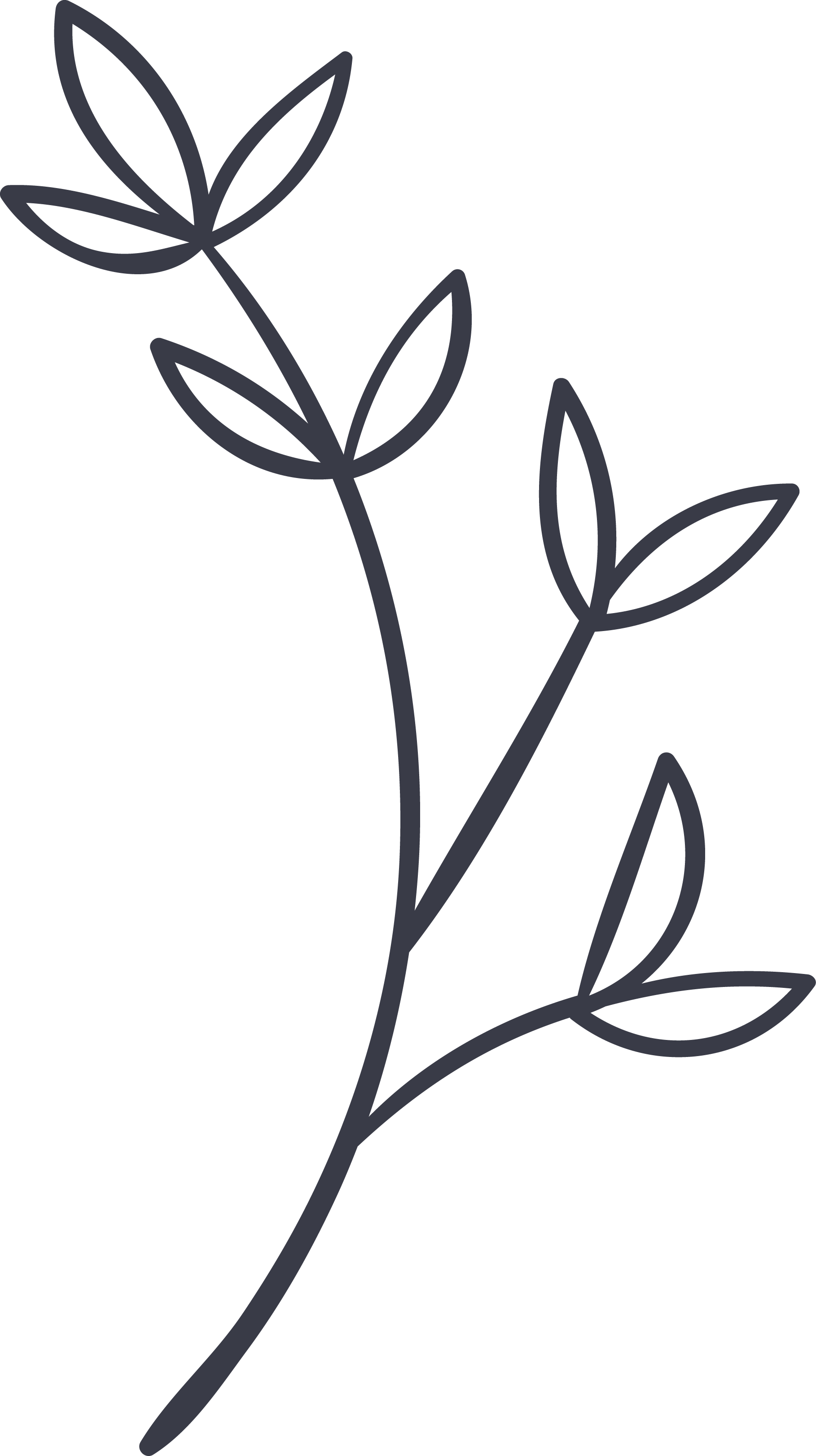 Fotografos De Comunion En Algorta Clipart (1818x3244), Png Download