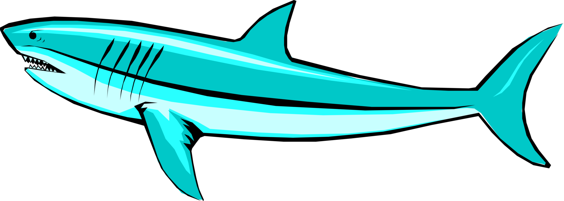 1960 X 700 1 - Shark Clipart (1960x700), Png Download