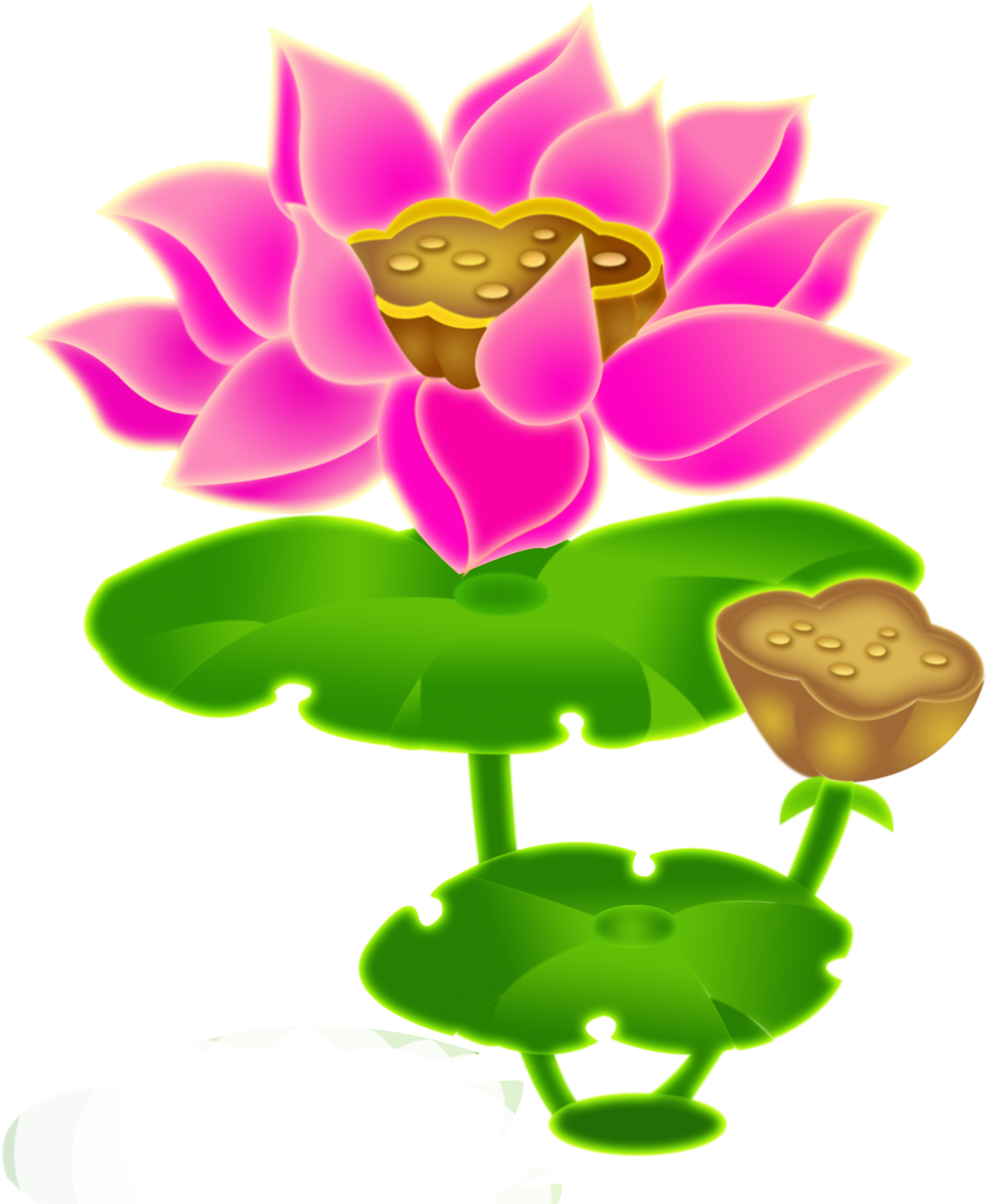 Lotus Clipart Chinese Lotus - ภาพ วาด ดอกบัว - Png Download (1322x1625), Png Download