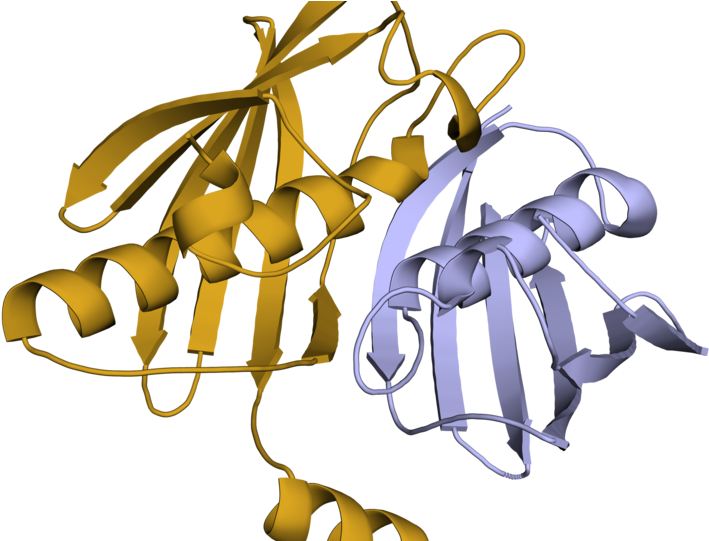 Biosynthesis Of Aryl Polyene Protective Pigments Elucidated - Illustration Clipart (1280x540), Png Download