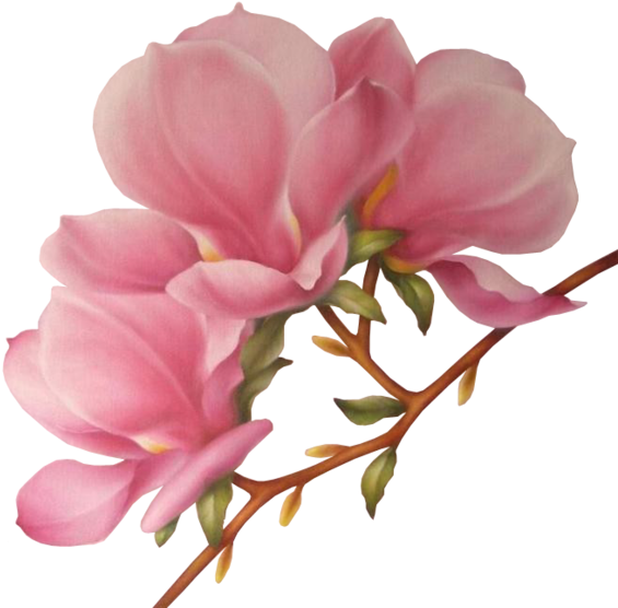 Фотки Flower Art, Art Flowers, Vintage Flowers, Clip - Orquídea Desenho Png Transparent Png (600x594), Png Download