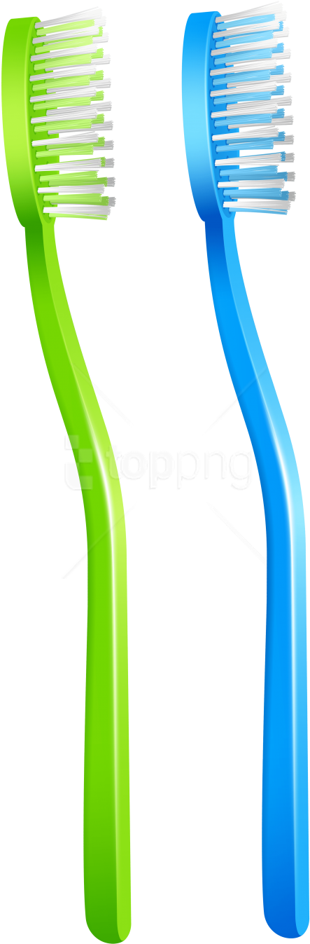 Free Png Green Blue Toothbrush Png Images Transparent - Blue And Green Toothbrush Clipart (480x1360), Png Download