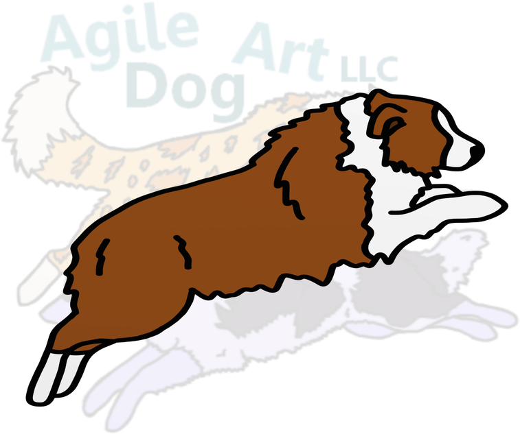 Picture - Rough Collie Clipart (800x800), Png Download