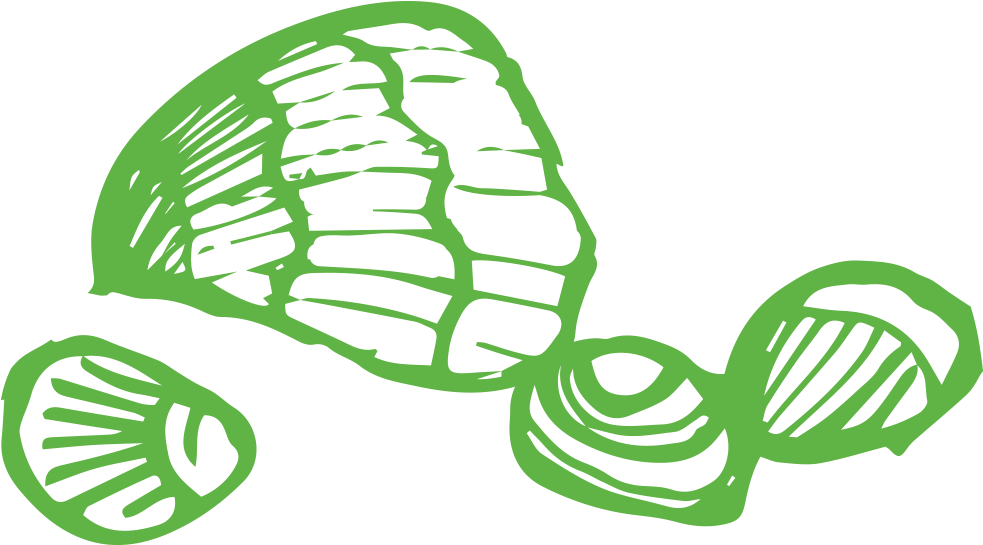 Info Clipart (1078x544), Png Download