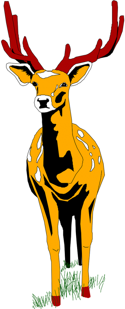 Stag Vector Wildlife - Deer Front Png Clipart (500x1000), Png Download