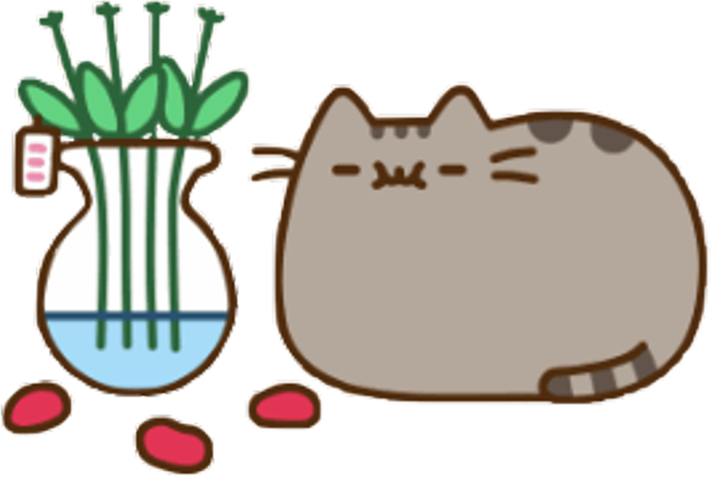 Report Abuse - Pusheen Eating Popcorn Clipart (1024x688), Png Download