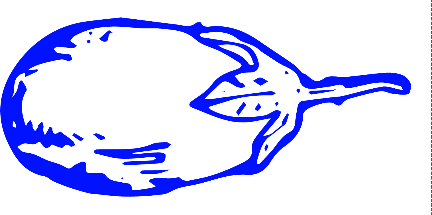 Brinjal, Download Png Clipart (1600x756), Png Download