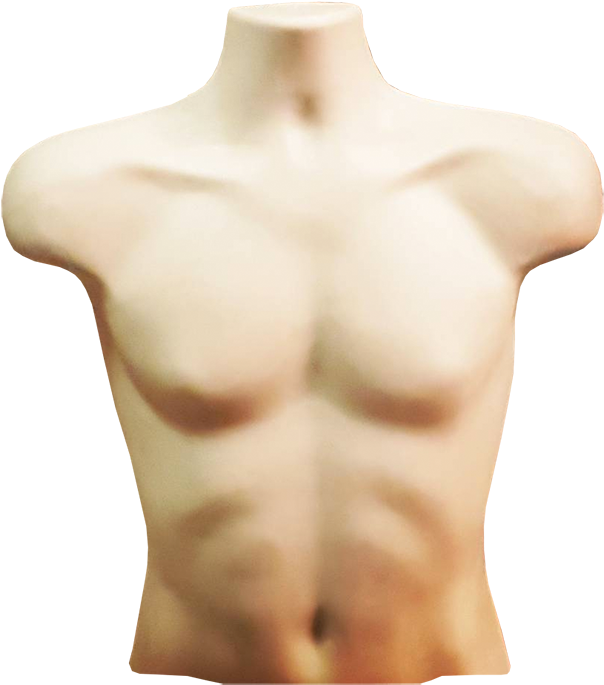 Torso Png Transparent Background Pound Of Flesh Torso Clipart Full Size Clipart 4139455 Pinclipart
