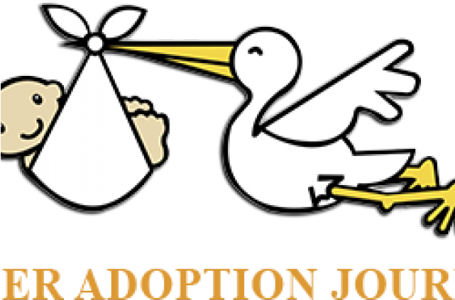 Stork Clipart Adoption - Baby Stork Clipart Png Transparent Png (640x480), Png Download