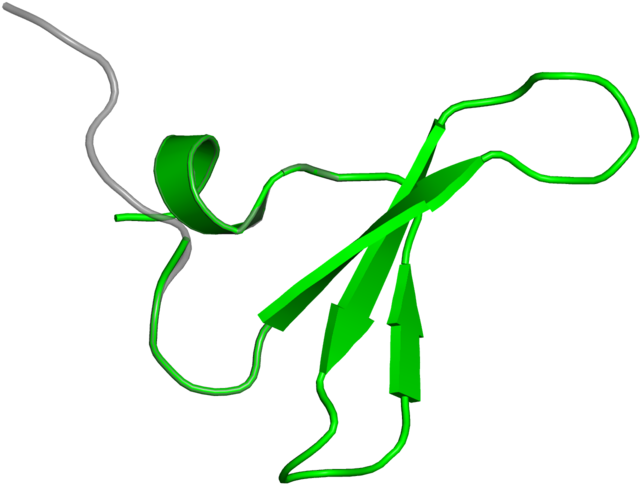 <div Class='caption-body'>1 Copy Of Cath Domain < Clipart (800x800), Png Download