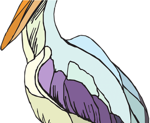 Sea Bird Clipart Colorful - Cartoon - Png Download (640x480), Png Download