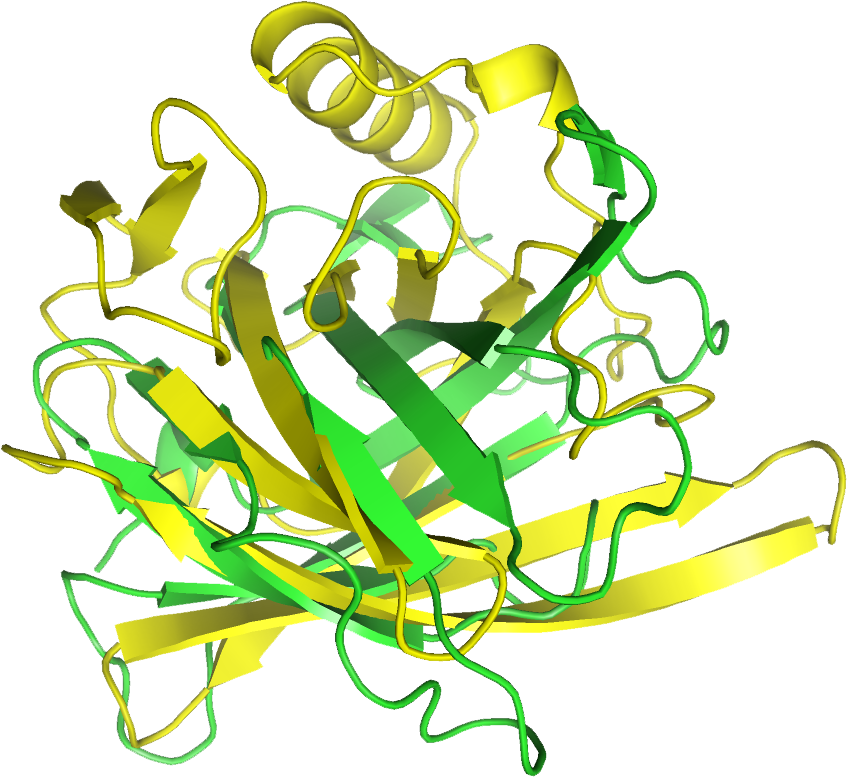 Protein Clipart (900x822), Png Download