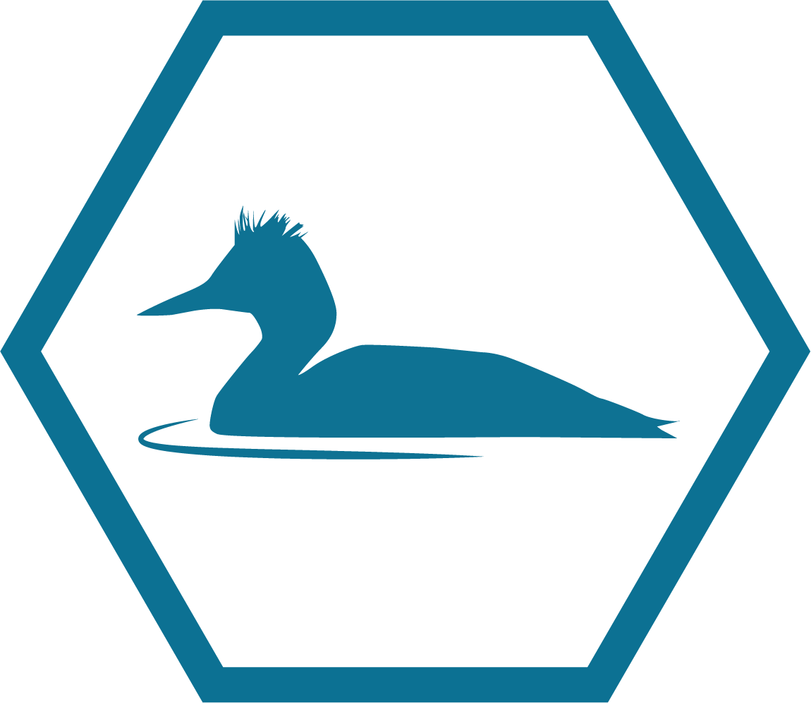 A Safe Haven For Birds - Hexagon Svg Clipart (1150x996), Png Download