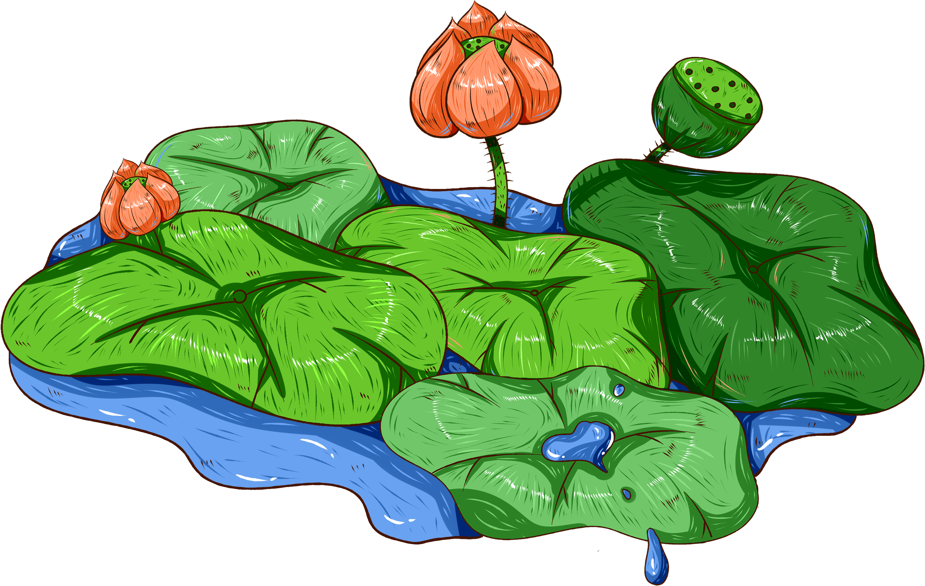 Original Hand Painted Showerhead Aquatic Plant Png - 蓮蓬頭 蓮花 Clipart (4000x4000), Png Download