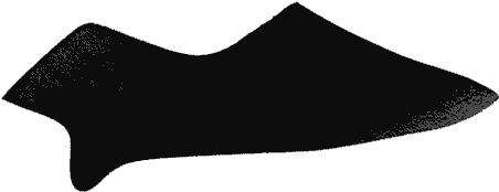 X860 Black Stretch Silky - Bat Clipart (1024x768), Png Download