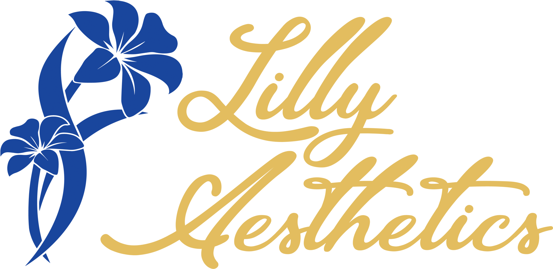 630 317 7338chicago Location - Calligraphy Clipart (1920x1080), Png Download