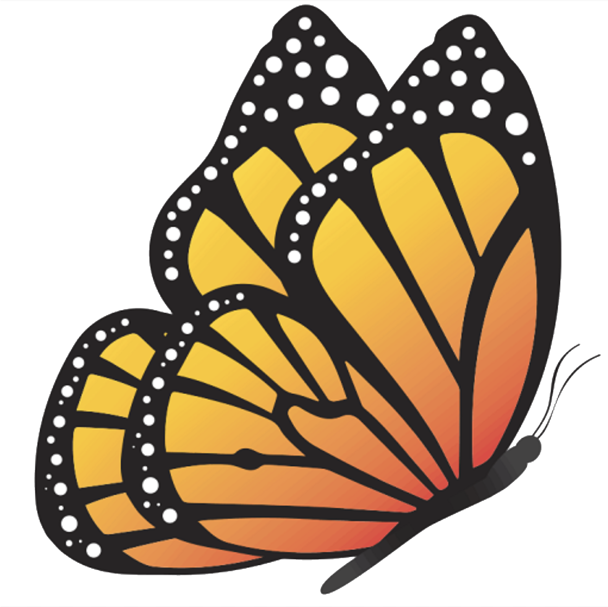 Kansas City Neighborhood Academy - Monarch Butterfly Clipart (1233x1229), Png Download