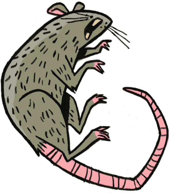 Animal House Clipart (600x673), Png Download