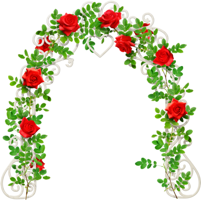 Garden Roses , Png Download Clipart (791x787), Png Download