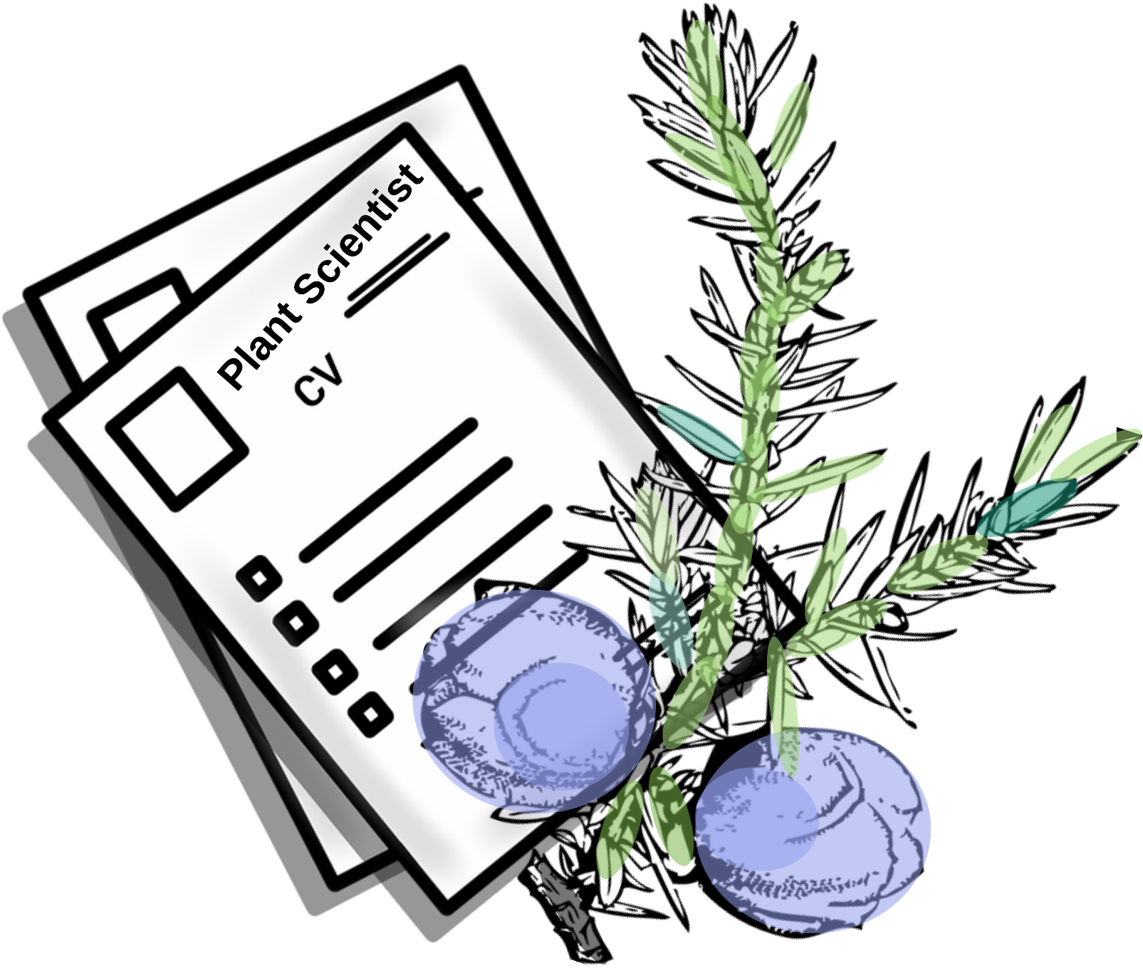 Cv Stilizzato Clipart (1688x1464), Png Download