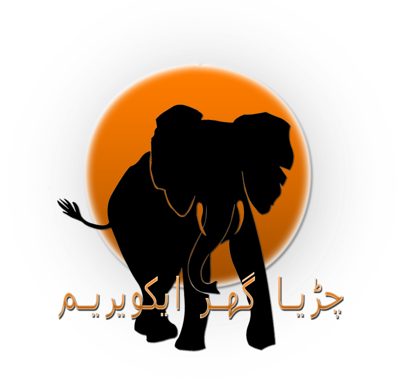 Gonna Make My Own Tomorrow) This Is Only A Teaser, - Elephant Silhouette Clipart (818x777), Png Download