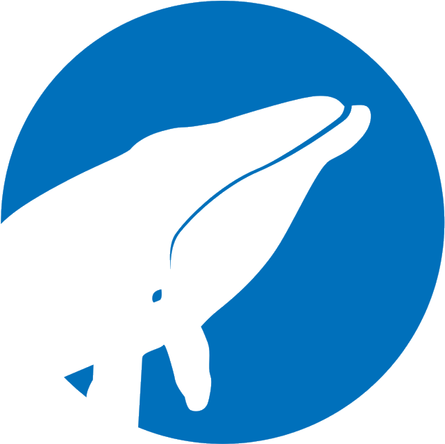 Contacts - Whale Clipart (697x697), Png Download