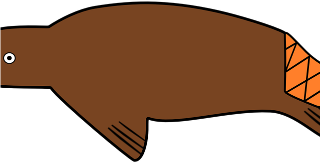 Science Clipart Protein - Png Download (640x480), Png Download